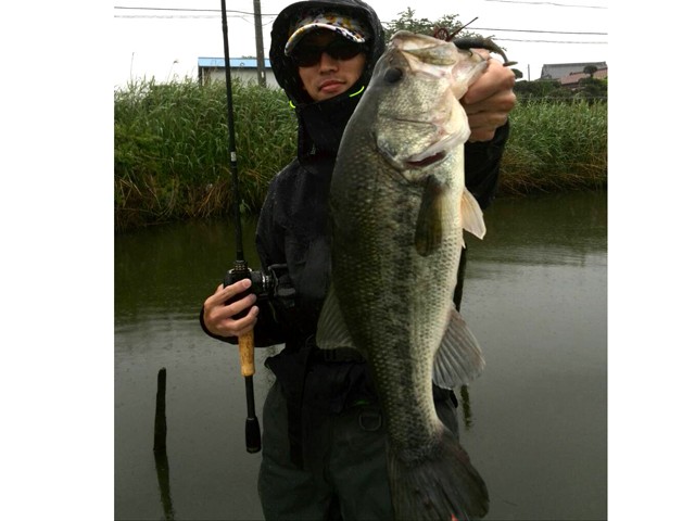 プロショップオオツカ バスフィッシング用品ネット通信販売 ブログ写真 2014/05/16