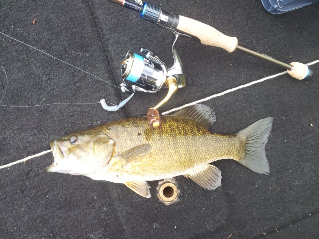 プロショップオオツカ バスフィッシング用品ネット通信販売 ブログ写真 2014/05/22