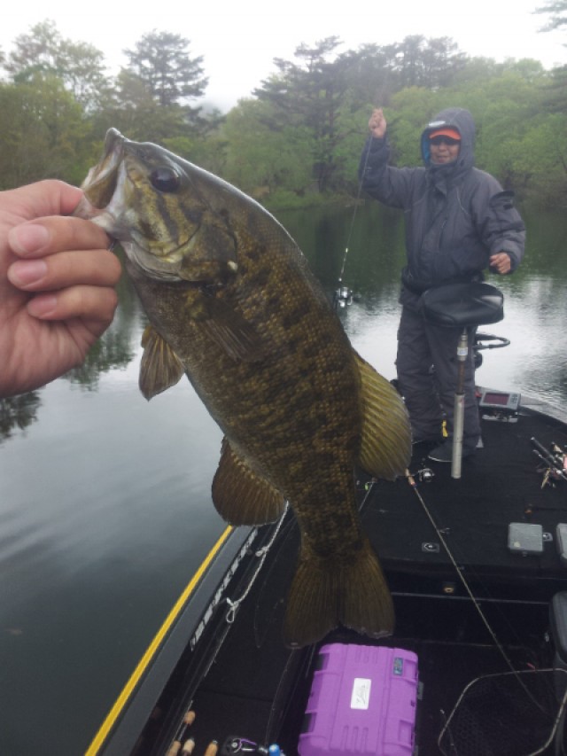 プロショップオオツカ バスフィッシング用品ネット通信販売 ブログ写真 2014/05/22