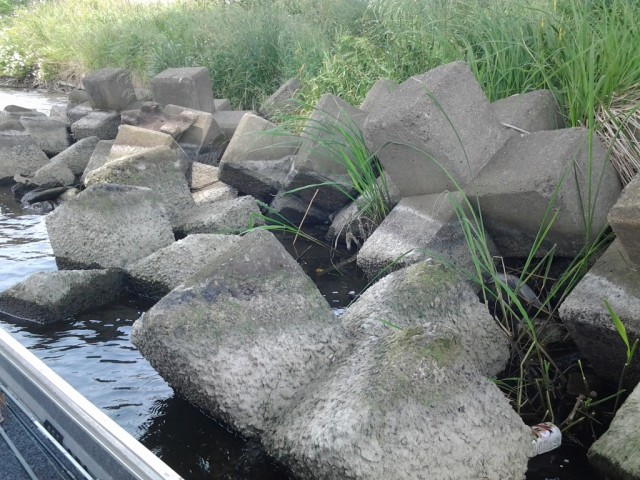 プロショップオオツカ バスフィッシング用品ネット通信販売 ブログ写真 2014/05/23