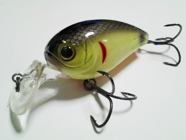 プロショップオオツカ バスフィッシング用品ネット通信販売 ブログ写真 2014/05/23