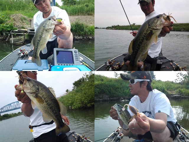 プロショップオオツカ バスフィッシング用品ネット通信販売 ブログ写真 2014/05/23