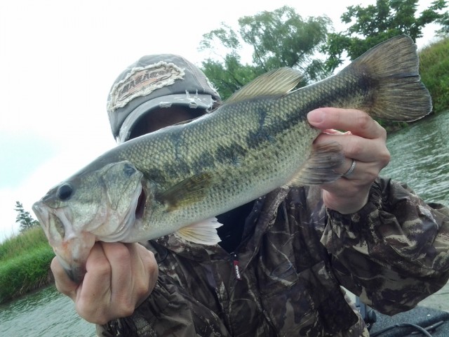 プロショップオオツカ バスフィッシング用品ネット通信販売 ブログ写真 2014/05/30