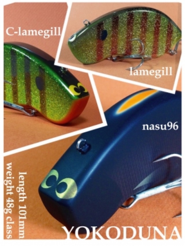 プロショップオオツカ バスフィッシング用品ネット通信販売 ブログ写真 2014/06/07