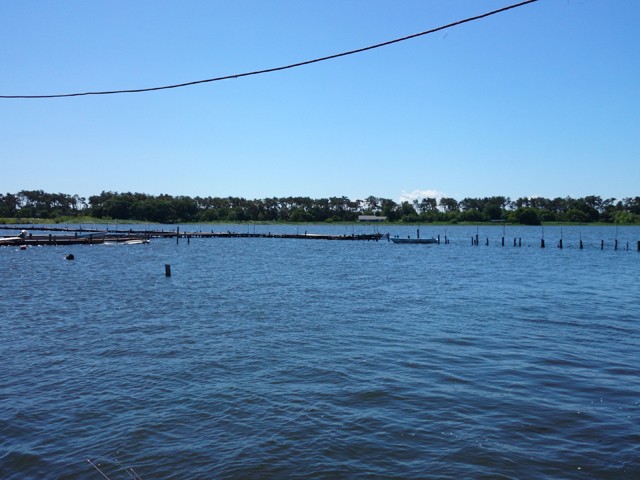 プロショップオオツカ バスフィッシング用品ネット通信販売 ブログ写真 2014/06/14