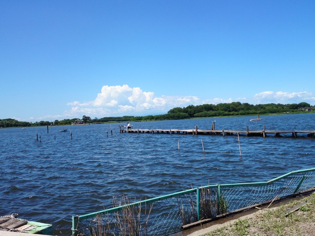 プロショップオオツカ バスフィッシング用品ネット通信販売 ブログ写真 2014/06/14