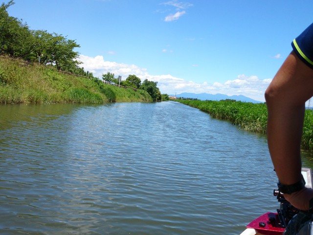 プロショップオオツカ バスフィッシング用品ネット通信販売 ブログ写真 2014/06/14