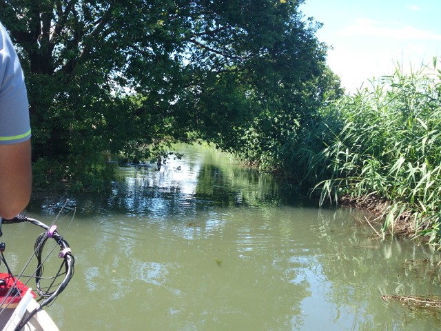 プロショップオオツカ バスフィッシング用品ネット通信販売 ブログ写真 2014/06/14