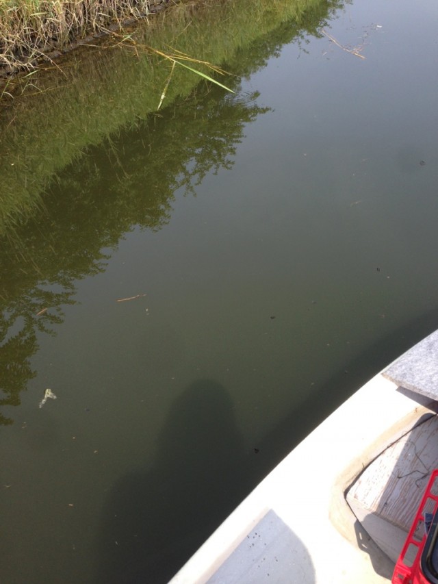 プロショップオオツカ バスフィッシング用品ネット通信販売 ブログ写真 2014/06/19