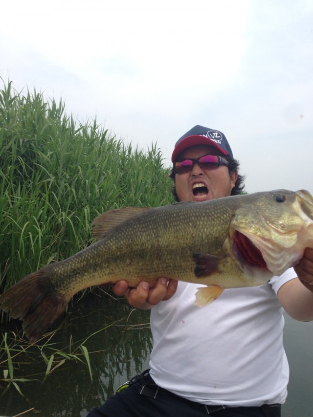 プロショップオオツカ バスフィッシング用品ネット通信販売 ブログ写真 2014/06/19