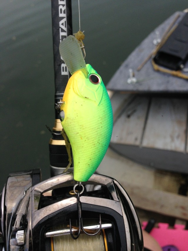 プロショップオオツカ バスフィッシング用品ネット通信販売 ブログ写真 2014/06/19