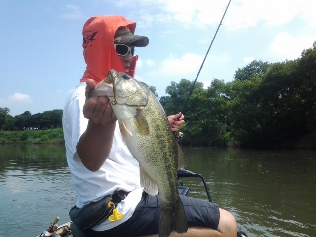 プロショップオオツカ バスフィッシング用品ネット通信販売 ブログ写真 2014/07/19