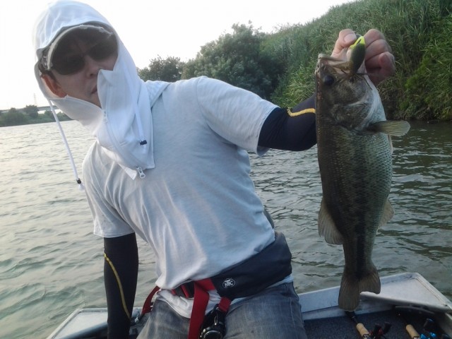 プロショップオオツカ バスフィッシング用品ネット通信販売 ブログ写真 2014/07/19