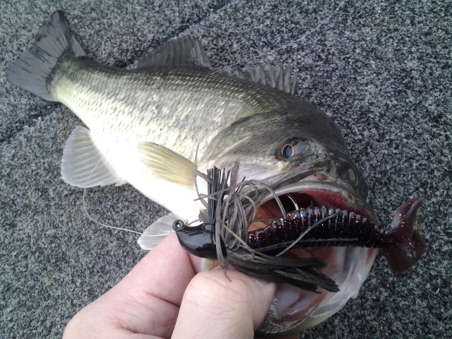 プロショップオオツカ バスフィッシング用品ネット通信販売 ブログ写真 2015/02/26