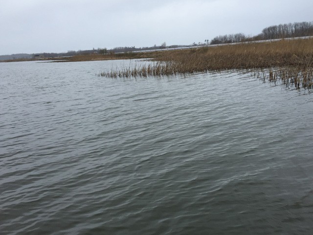 プロショップオオツカ バスフィッシング用品ネット通信販売 ブログ写真 2015/04/17