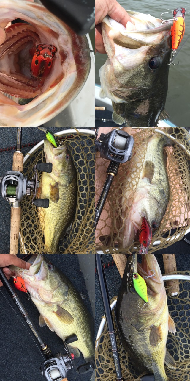 プロショップオオツカ バスフィッシング用品ネット通信販売 ブログ写真 2015/04/17