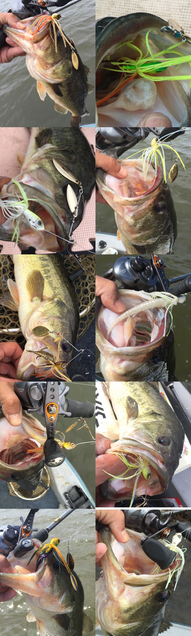 プロショップオオツカ バスフィッシング用品ネット通信販売 ブログ写真 2015/04/17