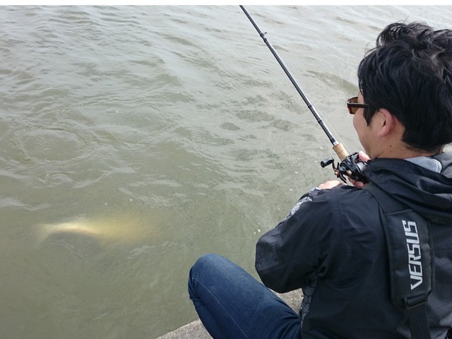 プロショップオオツカ バスフィッシング用品ネット通信販売 ブログ写真 2015/05/14