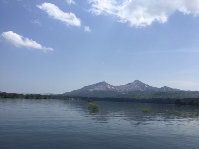 プロショップオオツカ バスフィッシング用品ネット通信販売 ブログ写真 2015/05/21