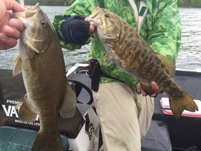 プロショップオオツカ バスフィッシング用品ネット通信販売 ブログ写真 2015/05/21