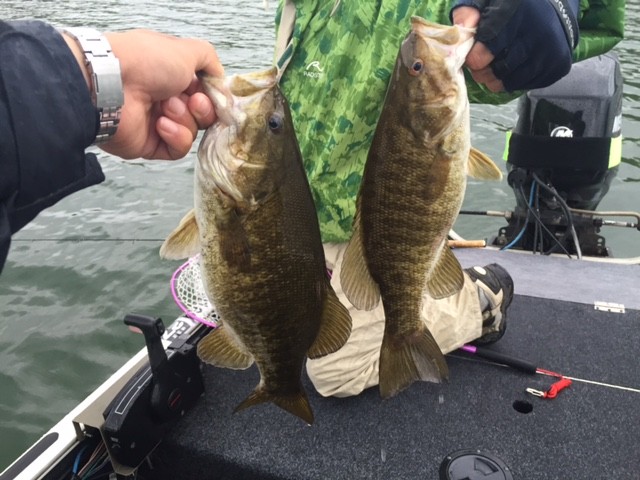 プロショップオオツカ バスフィッシング用品ネット通信販売 ブログ写真 2015/05/21