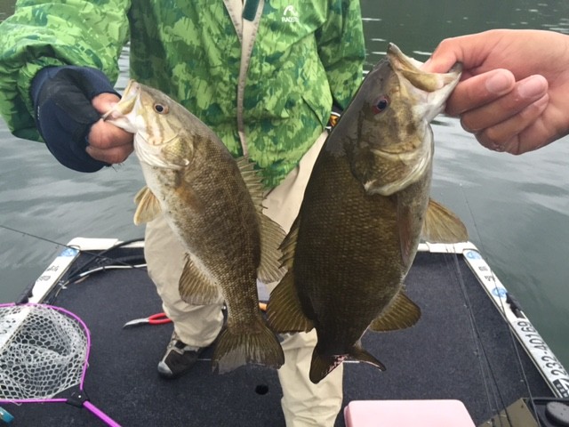 プロショップオオツカ バスフィッシング用品ネット通信販売 ブログ写真 2015/05/21