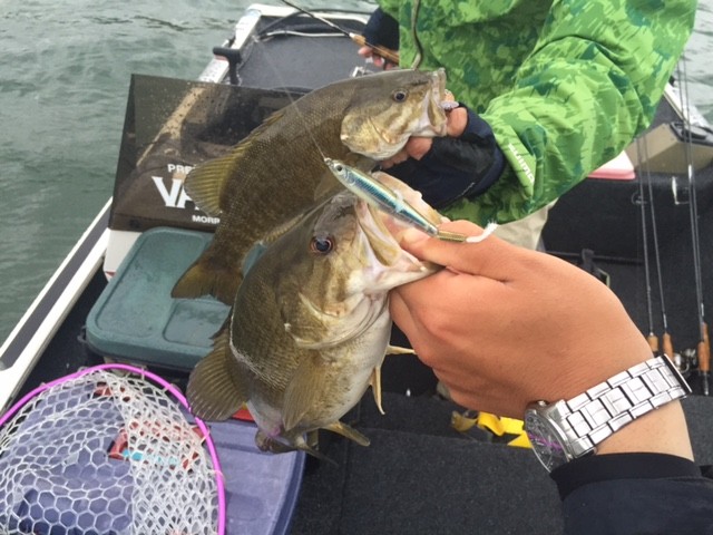 プロショップオオツカ バスフィッシング用品ネット通信販売 ブログ写真 2015/05/21