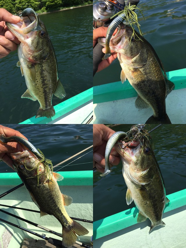 プロショップオオツカ バスフィッシング用品ネット通信販売 ブログ写真 2015/05/27