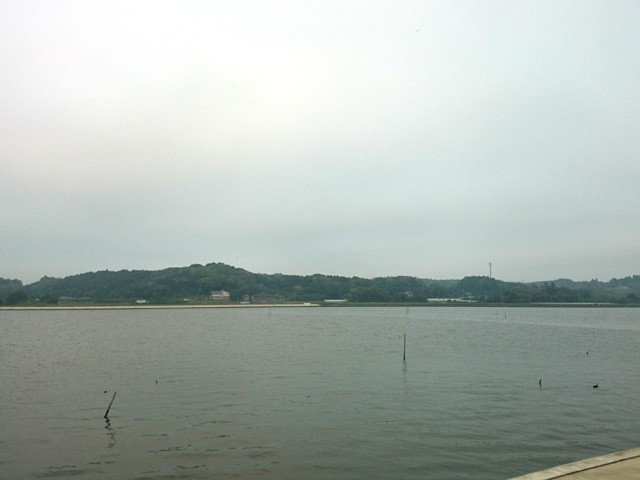 プロショップオオツカ バスフィッシング用品ネット通信販売 ブログ写真 2015/05/30