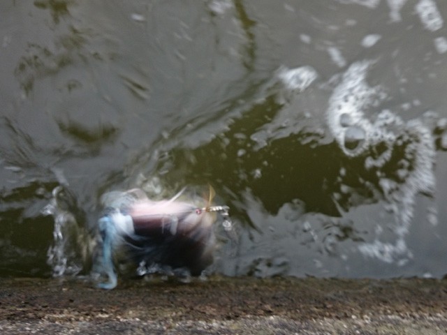 プロショップオオツカ バスフィッシング用品ネット通信販売 ブログ写真 2015/05/30