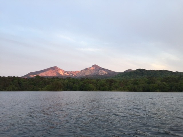 プロショップオオツカ バスフィッシング用品ネット通信販売 ブログ写真 2015/06/01