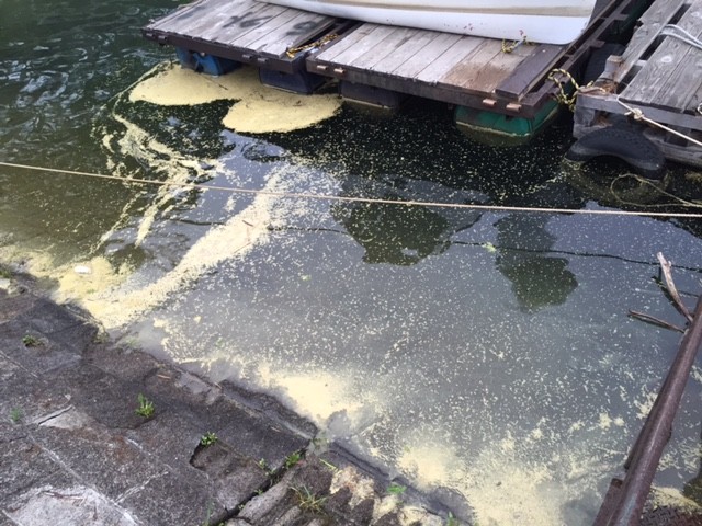 プロショップオオツカ バスフィッシング用品ネット通信販売 ブログ写真 2015/06/01