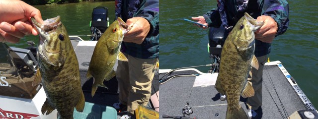 プロショップオオツカ バスフィッシング用品ネット通信販売 ブログ写真 2015/06/10