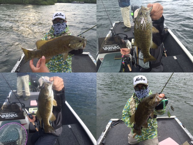 プロショップオオツカ バスフィッシング用品ネット通信販売 ブログ写真 2015/06/10