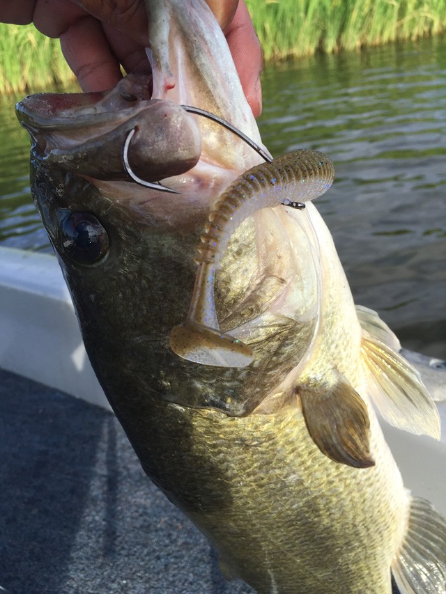 プロショップオオツカ バスフィッシング用品ネット通信販売 ブログ写真 2015/08/01