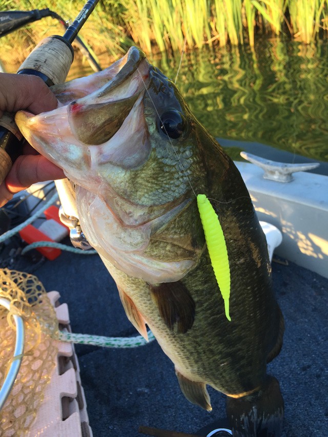 プロショップオオツカ バスフィッシング用品ネット通信販売 ブログ写真 2015/08/01