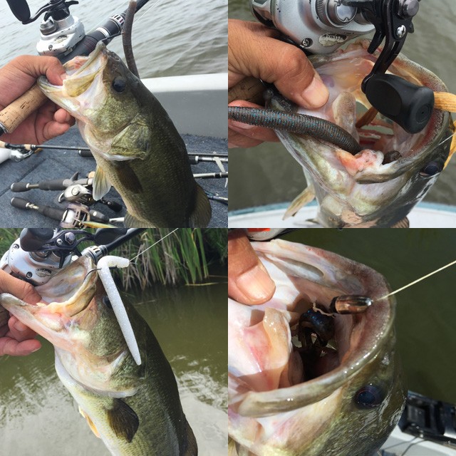 プロショップオオツカ バスフィッシング用品ネット通信販売 ブログ写真 2015/08/01