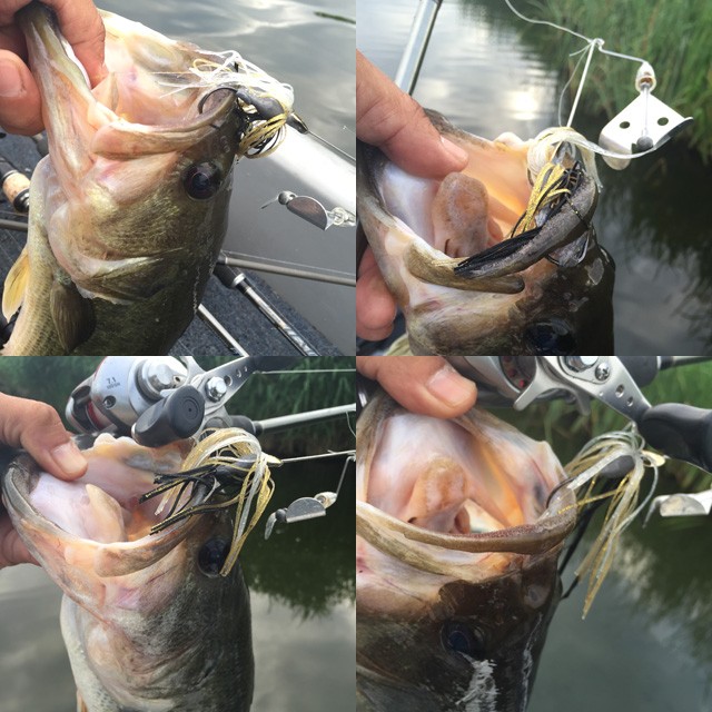 プロショップオオツカ バスフィッシング用品ネット通信販売 ブログ写真 2015/08/01