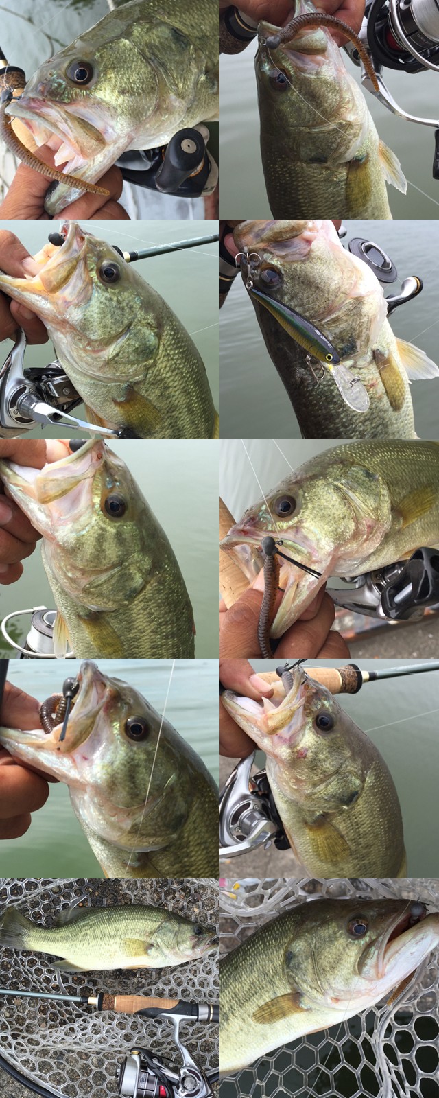 プロショップオオツカ バスフィッシング用品ネット通信販売 ブログ写真 2015/08/01