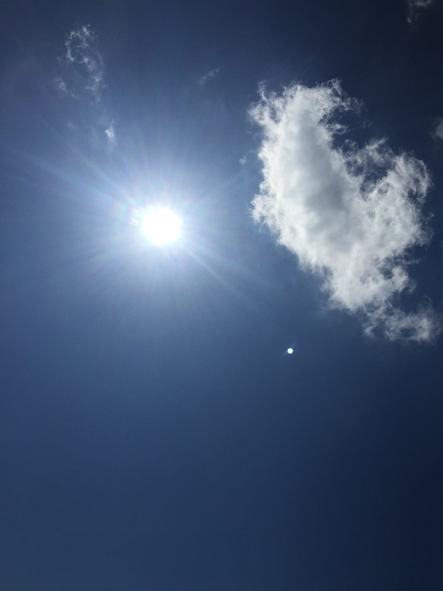 プロショップオオツカ バスフィッシング用品ネット通信販売 ブログ写真 2015/08/01