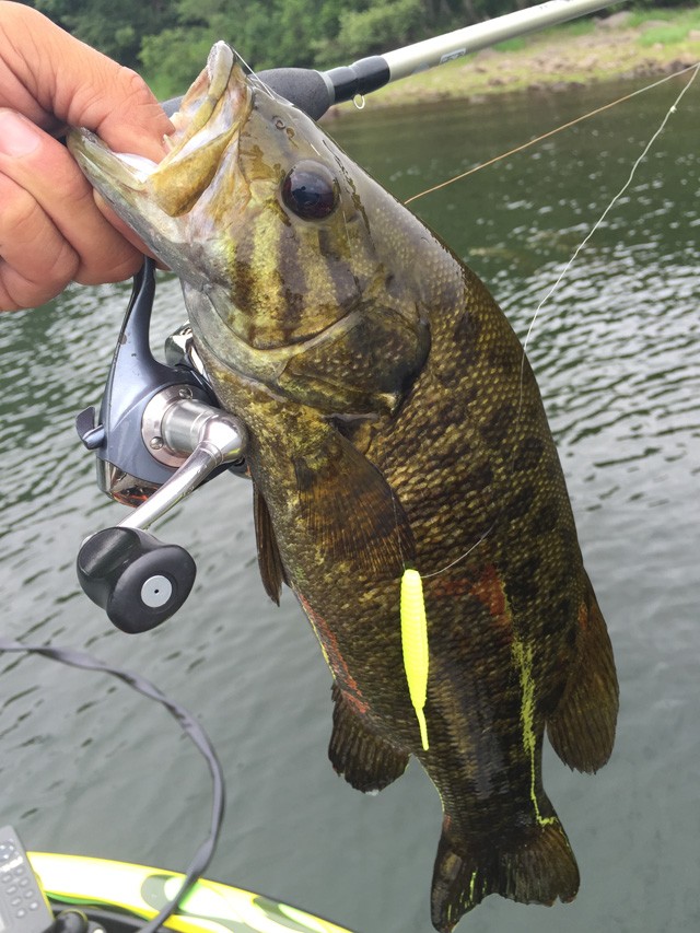 プロショップオオツカ バスフィッシング用品ネット通信販売 ブログ写真 2015/08/15