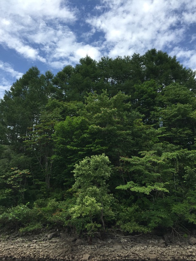 プロショップオオツカ バスフィッシング用品ネット通信販売 ブログ写真 2015/08/15