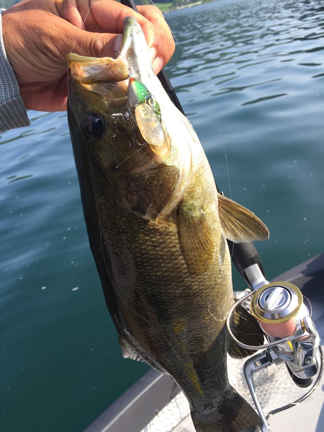 プロショップオオツカ バスフィッシング用品ネット通信販売 ブログ写真 2015/08/15