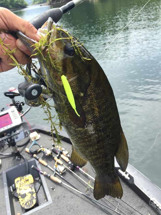 プロショップオオツカ バスフィッシング用品ネット通信販売 ブログ写真 2015/08/15