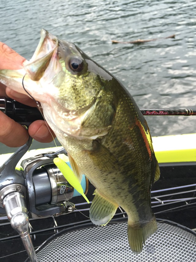 プロショップオオツカ バスフィッシング用品ネット通信販売 ブログ写真 2015/08/15