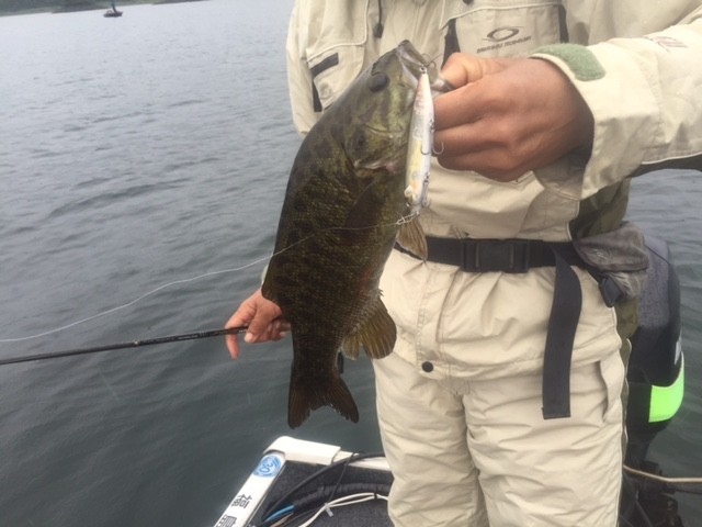 プロショップオオツカ バスフィッシング用品ネット通信販売 ブログ写真 2015/09/17