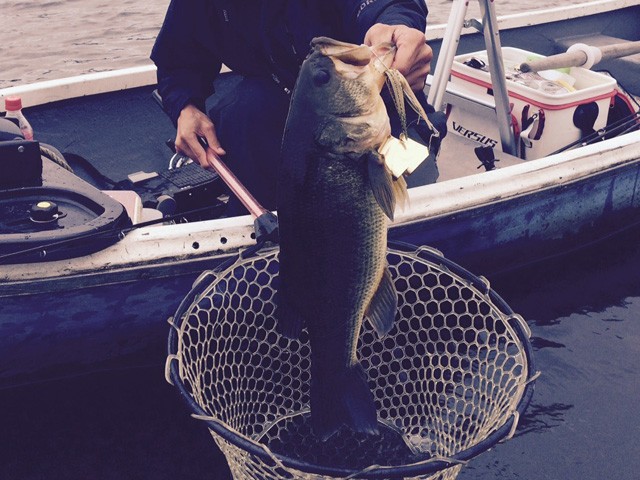 プロショップオオツカ バスフィッシング用品ネット通信販売 ブログ写真 2015/10/02