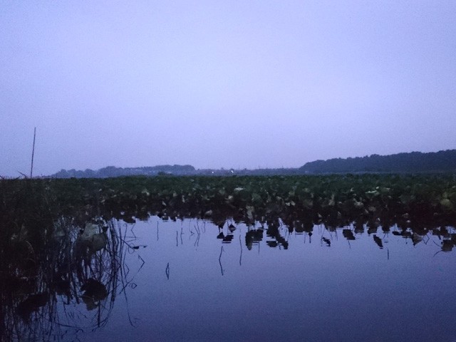 プロショップオオツカ バスフィッシング用品ネット通信販売 ブログ写真 2015/10/02