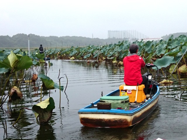 プロショップオオツカ バスフィッシング用品ネット通信販売 ブログ写真 2015/10/02