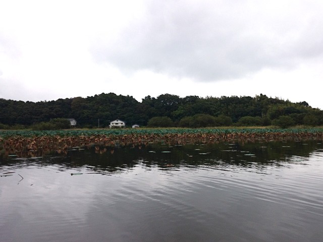 プロショップオオツカ バスフィッシング用品ネット通信販売 ブログ写真 2015/10/02